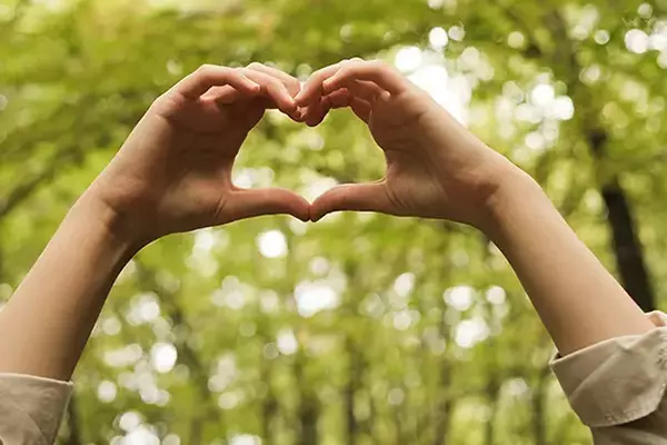 intended-parents-header-bg